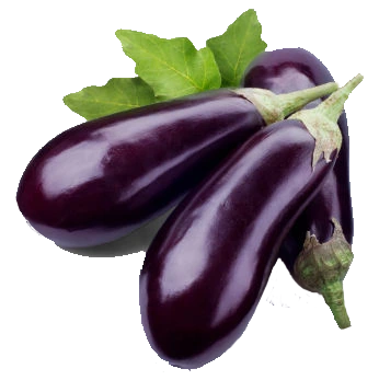 Eggplant