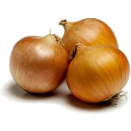 Onion