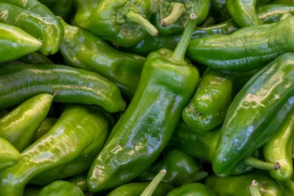 Fresh green peppers