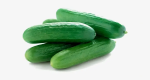 Cucumber - Image 2