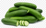 Cucumber